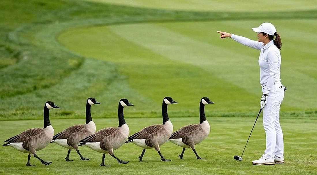 Tiger Woods và bản án 12 tháng: Khi dữ liệu chấn thương nói nhiều hơn tòa án