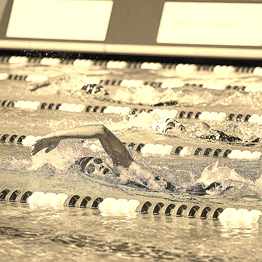 Từ lớp học bơi đến đỉnh cao: Lakeside Aquatic Club và bài toán phát triển vận động viên trẻ